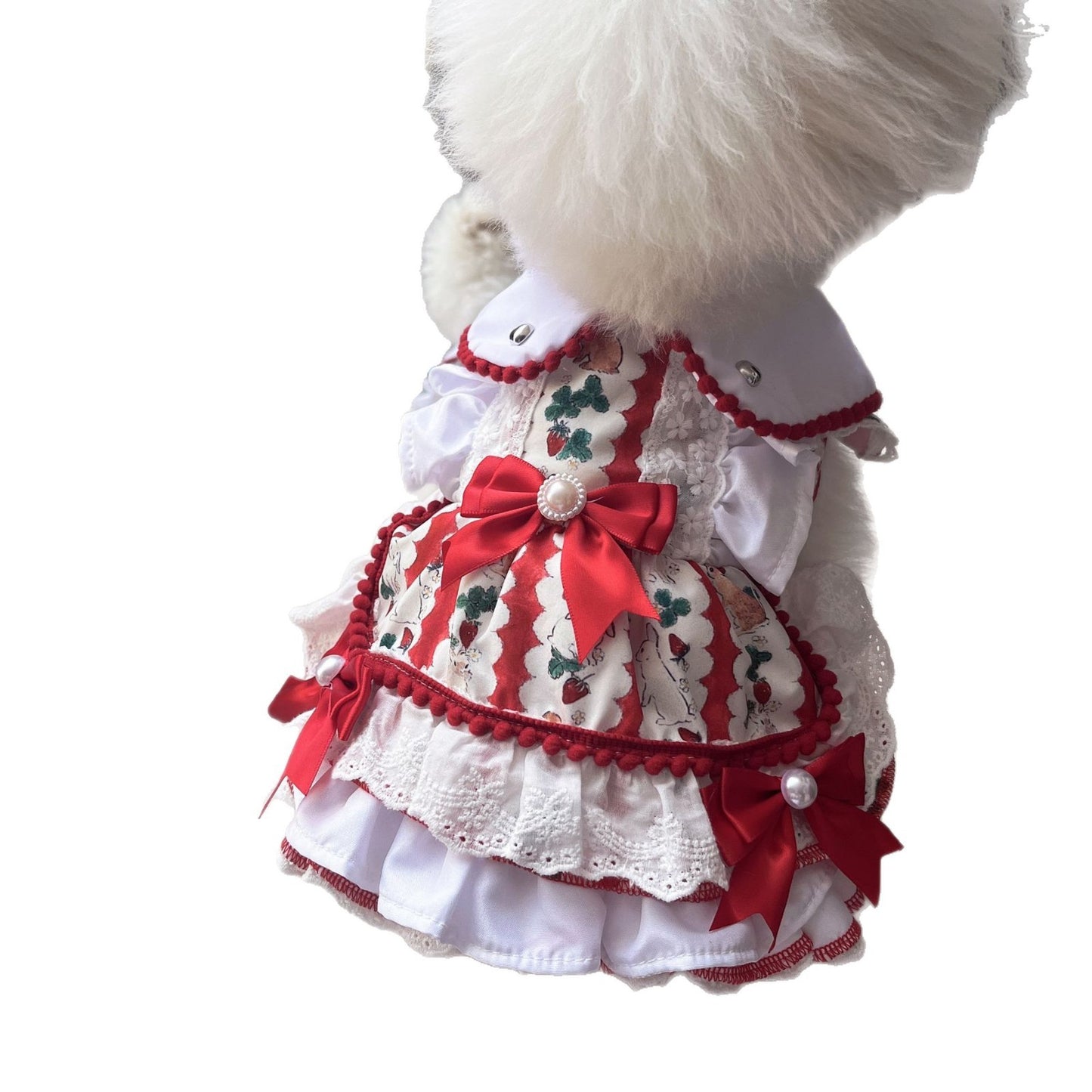 Pet Dog Clothes Clothes Are Better Than Nothing