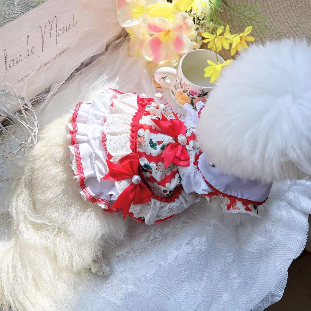 Pet Dog Clothes Clothes Are Better Than Nothing