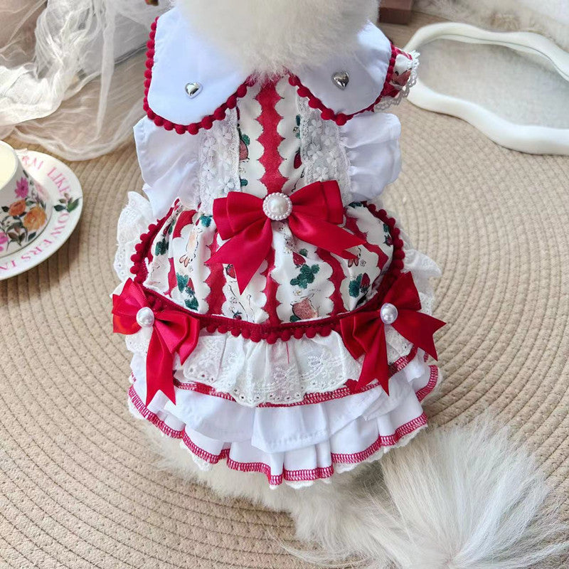 Pet Dog Clothes Clothes Are Better Than Nothing