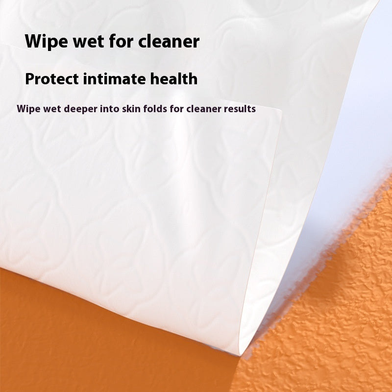 Wet Toilet Paper Household Washable Large Bag Hanging