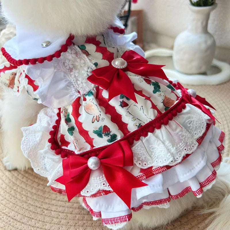 Pet Dog Clothes Clothes Are Better Than Nothing
